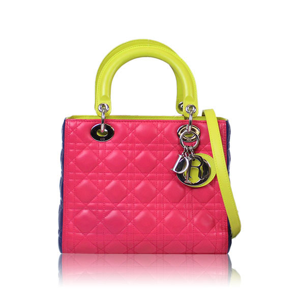 Dior レディディオール 24&nbsp;x20&nbsp;x12cm(幅&nbsp;x 高さ&nbsp;x マチ)